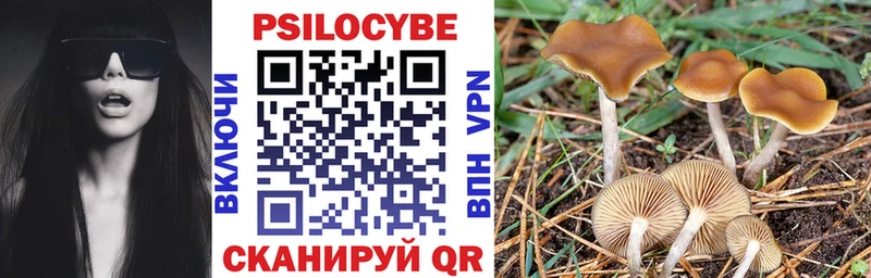 Купить закладки  Электрогорск  Псилоцибиновые грибы ЛСД 